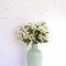 48-Pack: Cream Daisy Bundle with 6 Silk Flowers & Foliage by Floral Home®